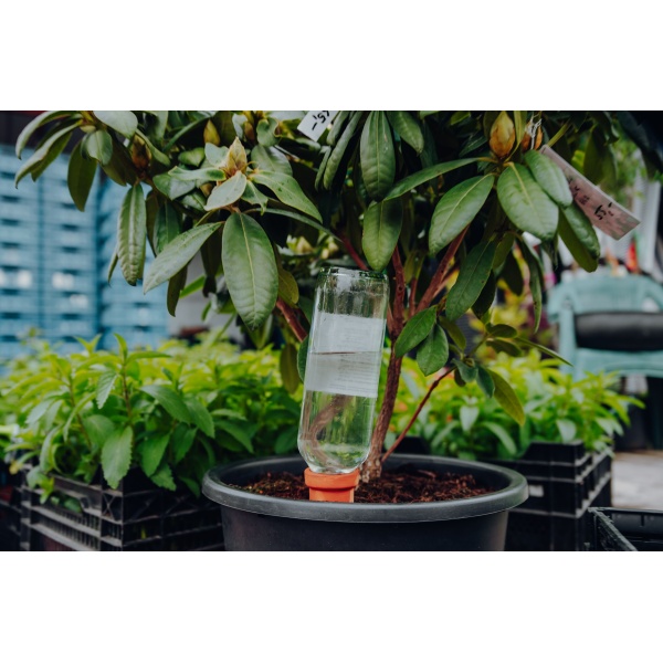 FAIR ZONE Self Watering Pots "Hydro Spikes" 4er – Bild 3