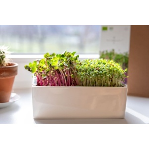 HEIMGART Microgreen Starter-Kit