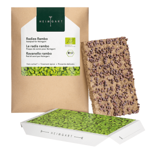 HEIMGART Microgreens „Radieschen Rambo“ Saatgutpads