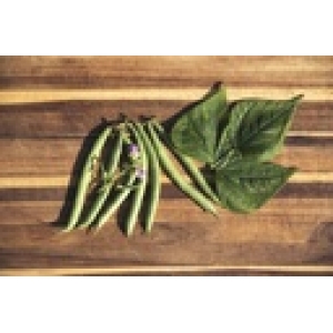 ZOLLINGER Bio-Buschbohnensamen Gartenglück