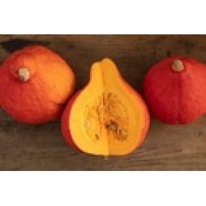 ZOLLINGER Bio-Hokkaidokürbissamen Oranger Hokkaido