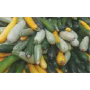 ZOLLINGER Bio-Zucchettisamen Überraschungsmischung