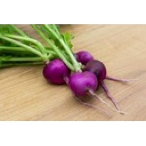 ZOLLINGER Bio-Radieschensamen Violett