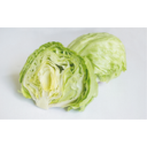 ZOLLINGER Bio-Eichblattsalatsamen Iceberg