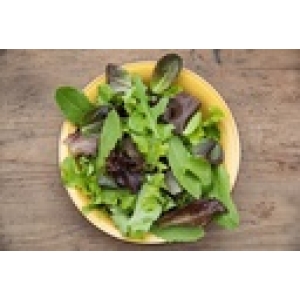 ZOLLINGER Bio-Schnittsalatsamen Misticanza