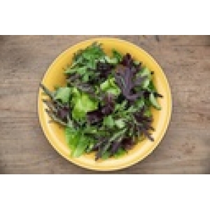 ZOLLINGER Bio-Schnittsalatsamen Mesclun Zollinger