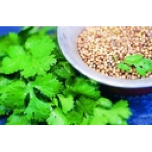 ZOLLINGER Bio-Koriandersamen Indischer