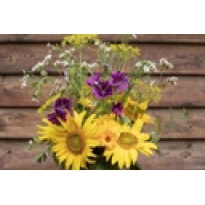 ZOLLINGER Bio-Gründüngung-Samen Gründüngung Blumenwiese für Nützlinge