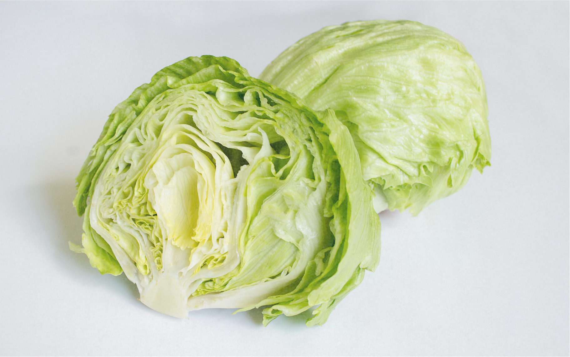 ZOLLINGER Bio-Eichblattsalatsamen Iceberg