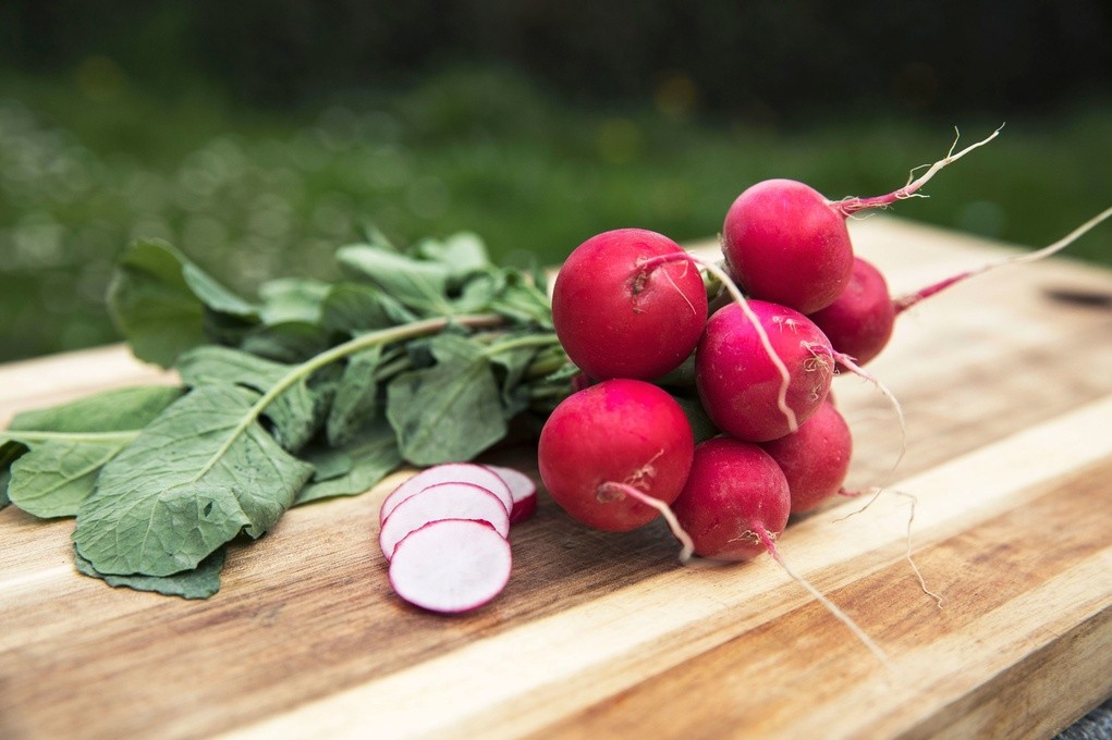 ZOLLINGER Bio-Radieschensamen Cherry Belle