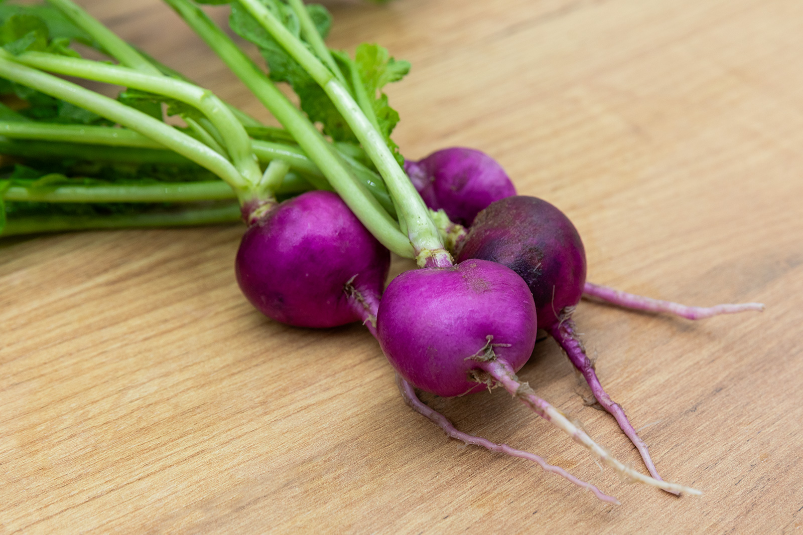 ZOLLINGER Bio-Radieschensamen Violett