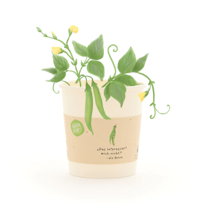 STADTGÄRTNER Das interessiert mich nicht. Die Bohne – Becher (BIO)