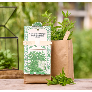 STADTGÄRTNER Minigarten – Cocktail Minze