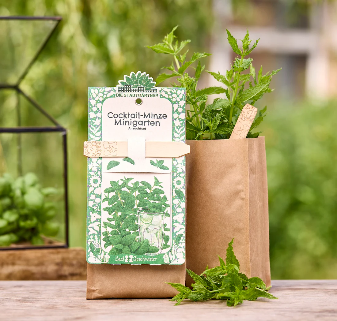 STADTGÄRTNER Minigarten - Cocktail Minze
