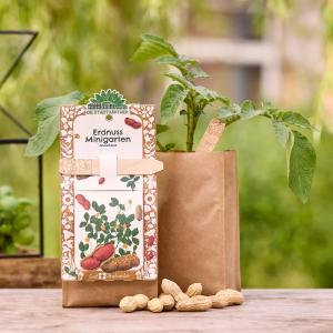 STADTGÄRTNER Minigarten – Erdnuss