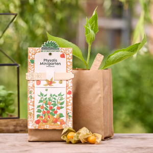 STADTGÄRTNER Minigarten – Physalis – BIO