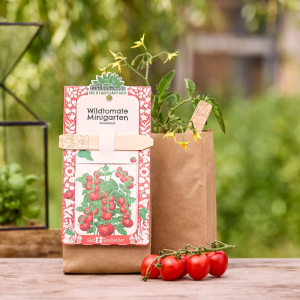 STADTGÄRTNER Minigarten – Wildtomate – BIO