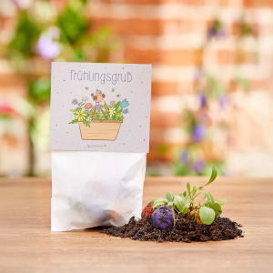STADTGÄRTNER 5er Blumenmurmeln im Pergaminbeutel – Frühlingsgruß