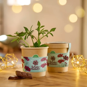 DIE STADTGÄRTNER Anzuchtset im Becher – Schokoblumen