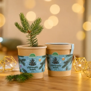 DIE STADTGÄRTNER Anzuchtset im Becher – Weihnachtsbaum